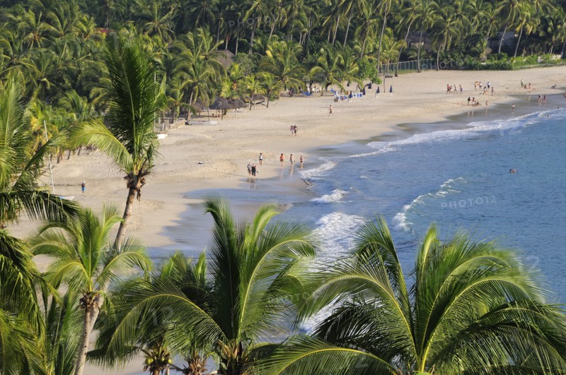 Mexico, Guerrero, Zihuatanejo, View over lush green palm trees onto Playa la Ropa sandy beach. 
Photo : Nick Bonetti