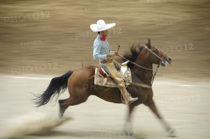 Mexico, Bajio, Zacatecas, Traditional horseman or Charro performing at Mexican rodeo. Single horse and rider in blur of movement. 
Photo : Nick Bonetti