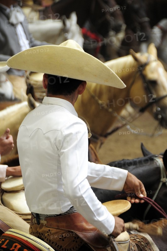 Mexico, Bajio, Zacatecas, Traditional horseman or Charro at Mexican rodeo. Mockford & Bonetti. 
Photo : Nick Bonetti