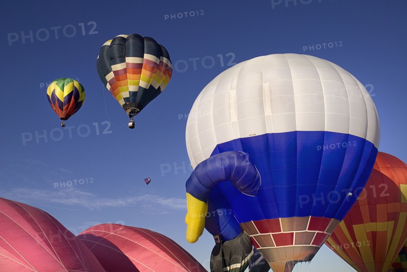 USA, New Mexico, Albuquerque, Annual balloon fiesta colourful hot air balloons ascending. 
Photo : Hugh Rooney