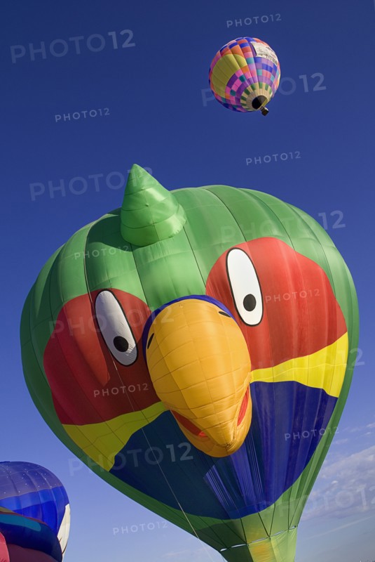 USA, New Mexico, Albuquerque, Annual balloon fiesta colourful hot air balloons with parrot shaped balloon in foreground. 
Photo : Hugh Rooney