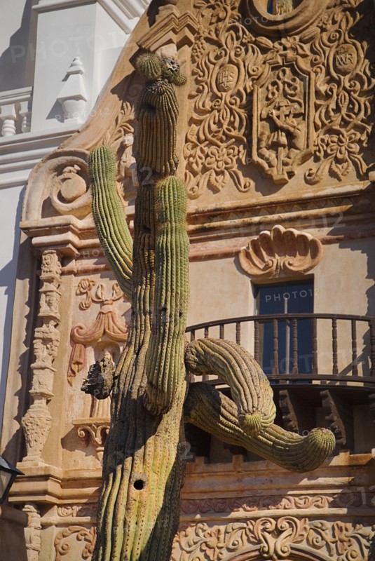 USA, Arizona, Tucson, Mission Church of San Xavier del Bac. Detail of balcony and carved window surround with cactus in foreground. 
Photo : Hugh Rooney