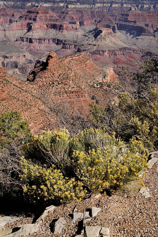 USA, Arizona, Grand Canyon, South Rim view from Yavapai Point. 
Photo : Hugh Rooney