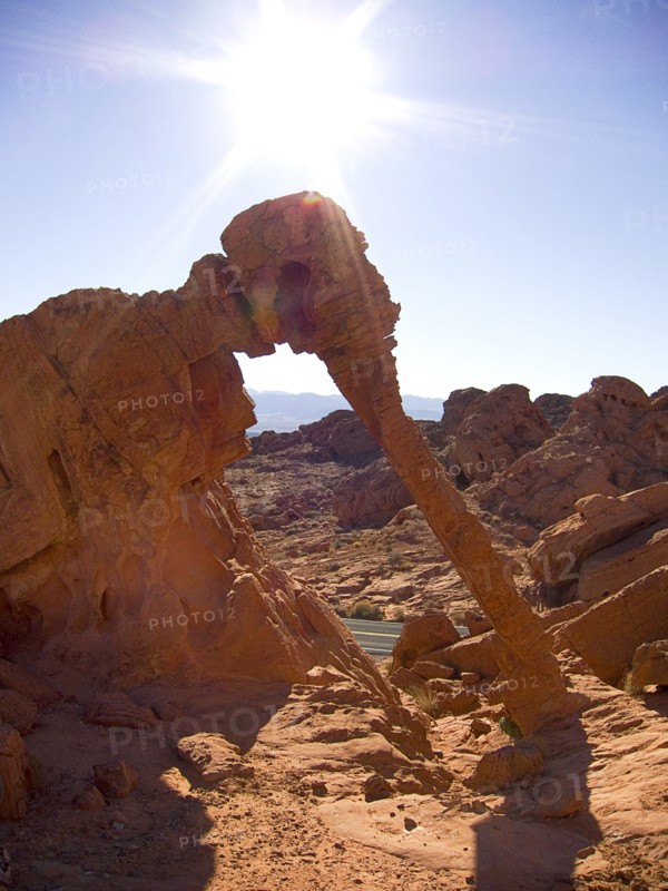 USA, Nevada, Valley of Fire State Park, Elephant shape rock formation. 
Photo : Hugh Rooney