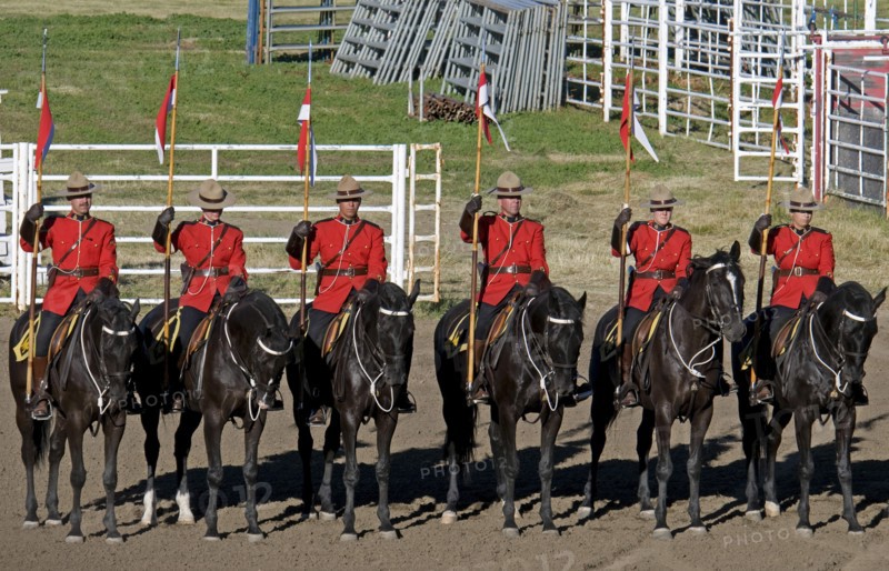 Canada, Alberta, Lethbridge, Royal Canadian Mounted Police Musical Ride RCMP cavalry in full dress red serge uniform on horseback holding lances with red and white pennons. 
Photo : Trevor Page