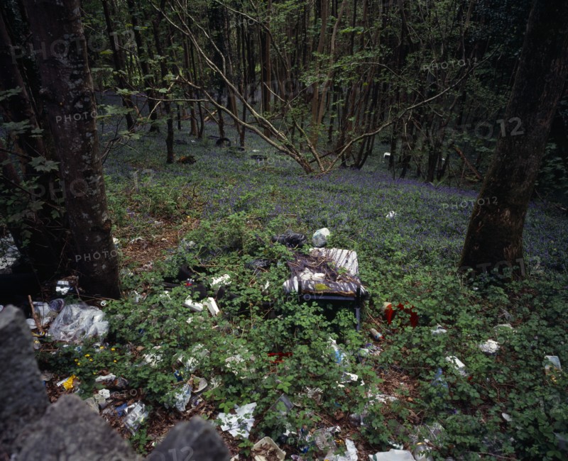 Wales, Gwynedd, Environment, Discarded household and general rubbish dumped in roadside bluebell wood near Porth Madog. 
Photo : Bryan Pickering