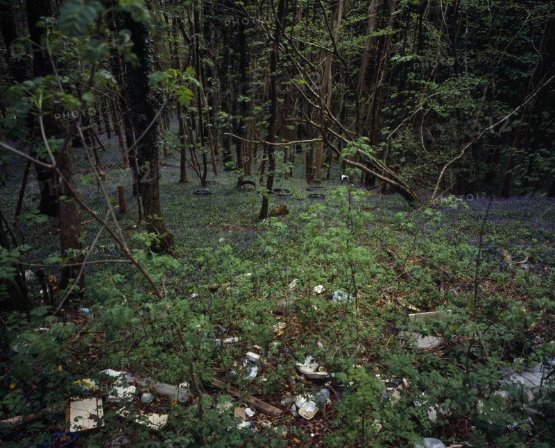 Wales, Gwynedd, Environment, Discarded household and general rubbish dumped in roadside bluebell wood near Porth Madog. 
Photo : Bryan Pickering