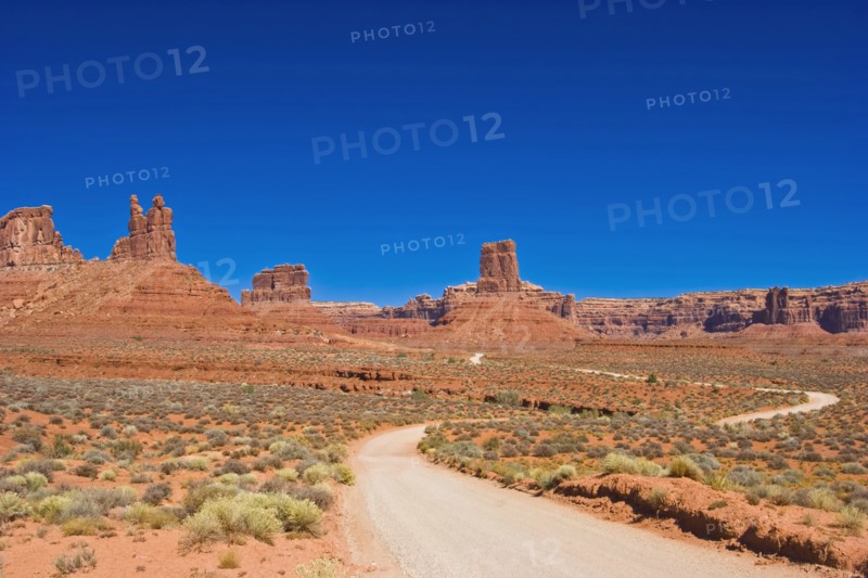 USA, Utah, Valley of the Gods, winding dirt road through the desert landscape. 
Photo : Richard Rickard