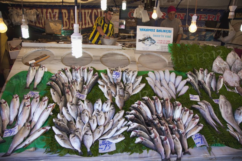 Turkey, Istanbul, Karakoy Galata fish market display of fresh catch. 
Photo : Stephen Rafferty