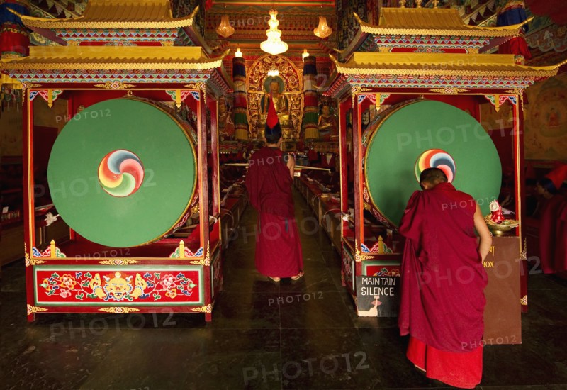 Buddhist Lama Monks in a ritual in a monastery, Sikkim, India