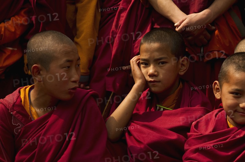 Portrait of novice Buddhist Monks in Sikkim, India