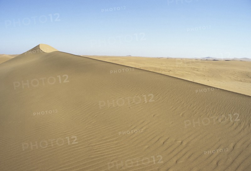 Namibia, Namib, Naukluft Desert, Sand dunes in the De Beers Diamond mining area. 
Photo : Adrian Arbib