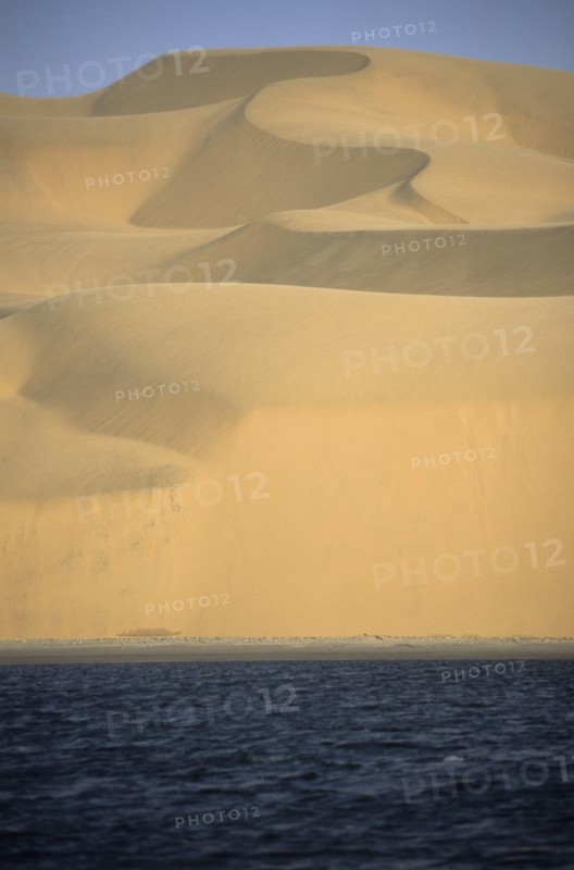 Namibia, Namib, Naukluft Desert, Sand dunes of the Langevaan a 1000 foot high wall of sand where the desert meets the Atlantic ocean. Access is restricted due to Diamond mining activity by DeBeers. 
Photo : Adrian Arbib