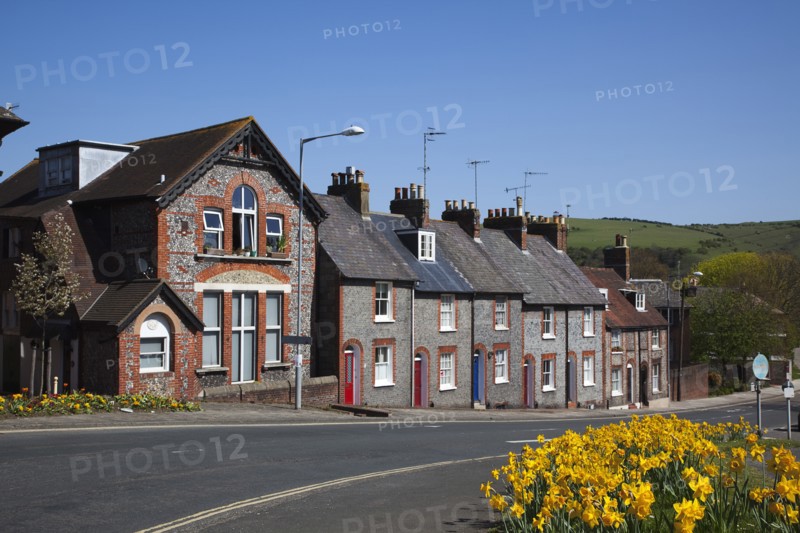 England, East Sussex, Lewes, Row of terraced houses in Little East Street with daffodils in the foreground. 
Photo : Stephen Rafferty