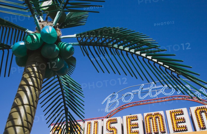 Plastic artificial Palm Tree with amusement arcade behind in clear blue sky.