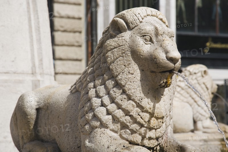 Lion fountain in central Pest.