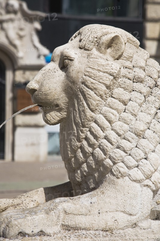 Lion fountain in central Pest.