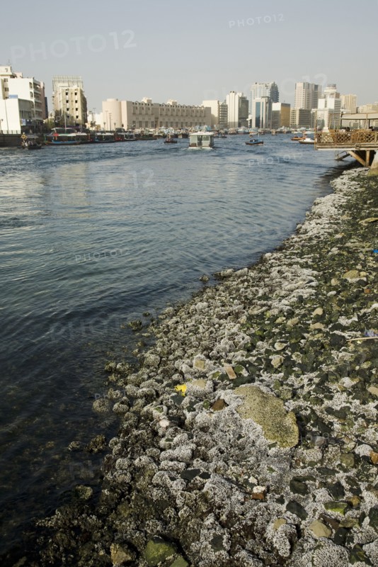 Water's edge at entrance to Creek with skyline behind.