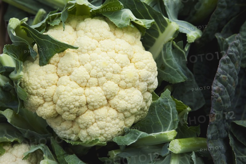 Brassica oleracea botrytis Cauliflower on sale at farm shop.