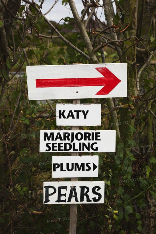 Pick Your Own signs pointing the way to rows containing different varietes of tree in Grange Farm.