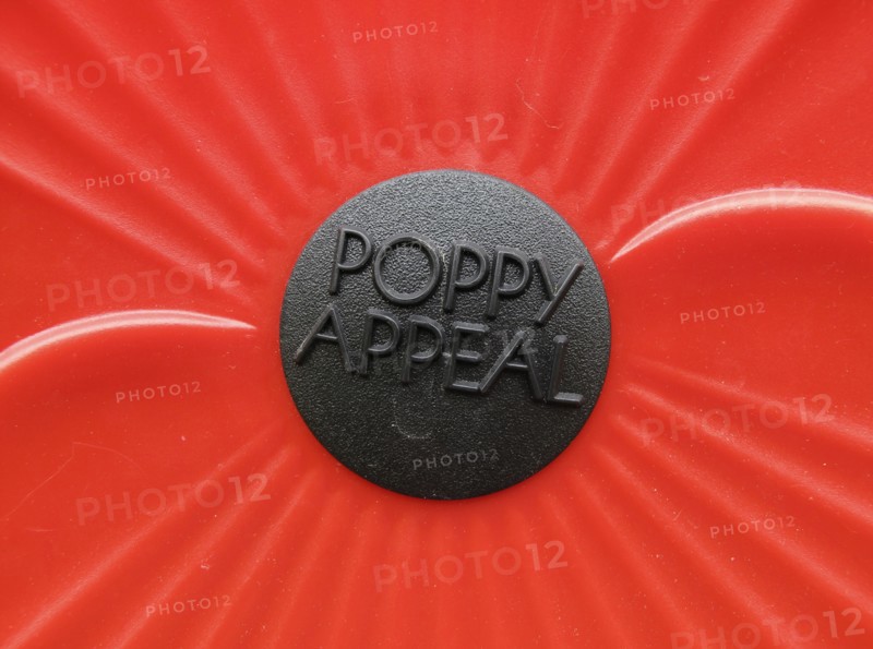 Detail of Poppy Appeal display.