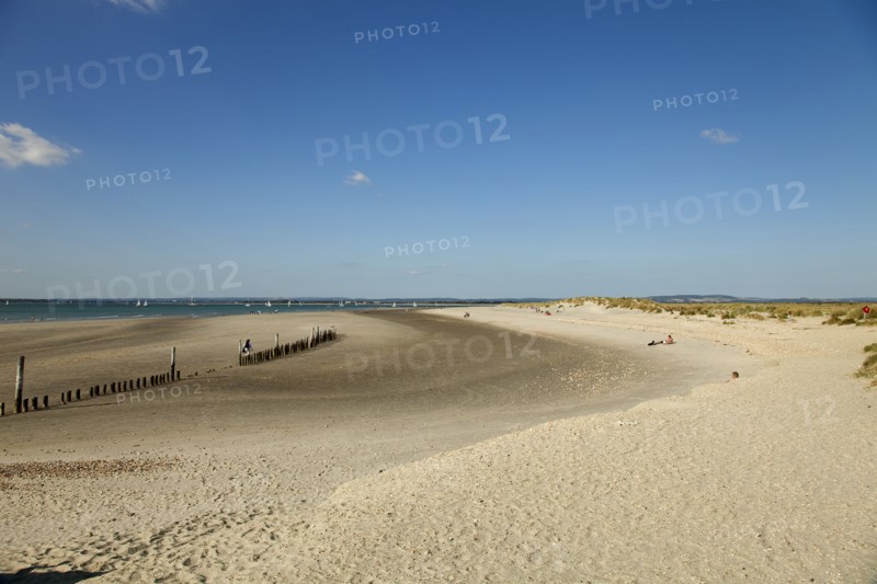 East Head Sandy beach and wooden groynes at low tide.
