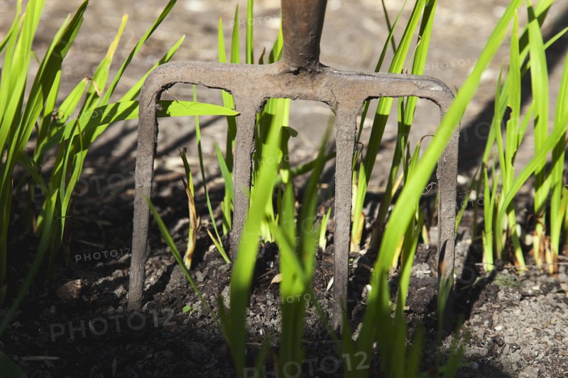 Fork rested in soil with green shoots.