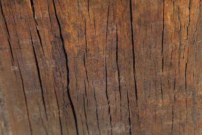 Cracks in wooden sleeper.
