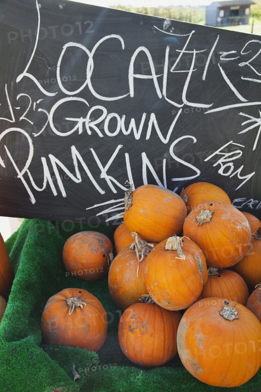 Pumpkins for sale at Grange Farms market store.