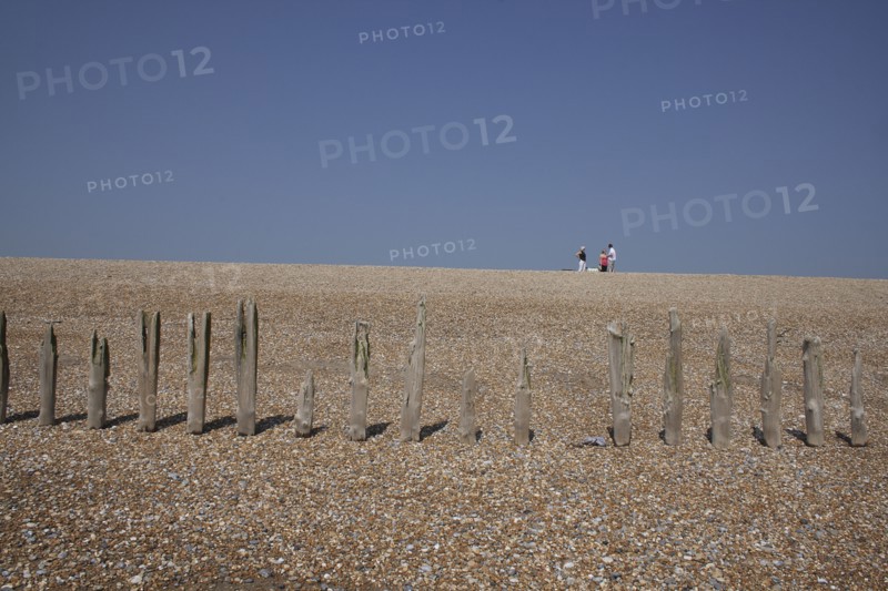 View of rotten wooden groynes on the shingle beach and people walking in distance..