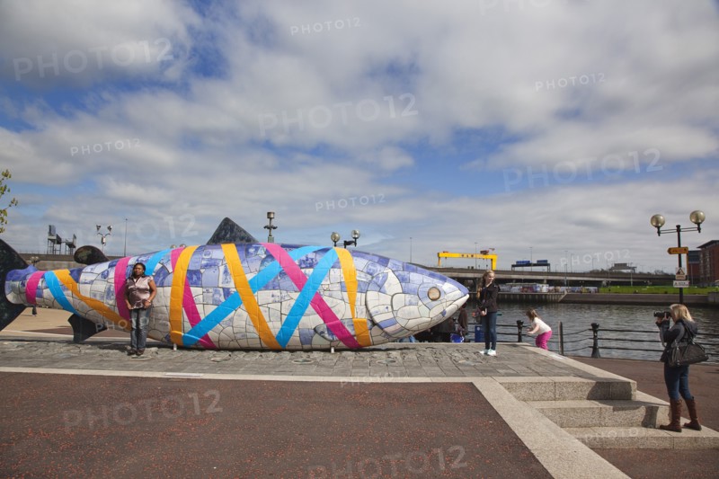 Donegall Quay The Big Fish Sculpture by John Kindness. The scales of the fish are pieces of printed blue tiles with details of Belfasts history. The 10 metre long structure is situated beside the Lagan Weir opposite the old Custom House.