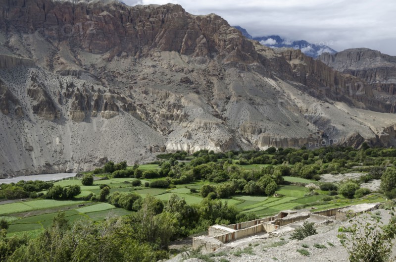 Green fields along the route from Kagbeni to Chhusang. Kali Gandaki gorge.