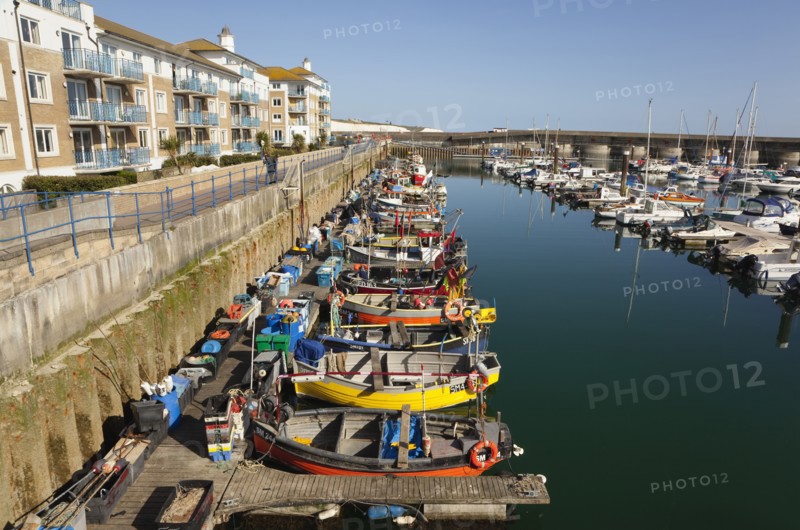 View over fishing boats moored in the Marina with apartment buildings behind.