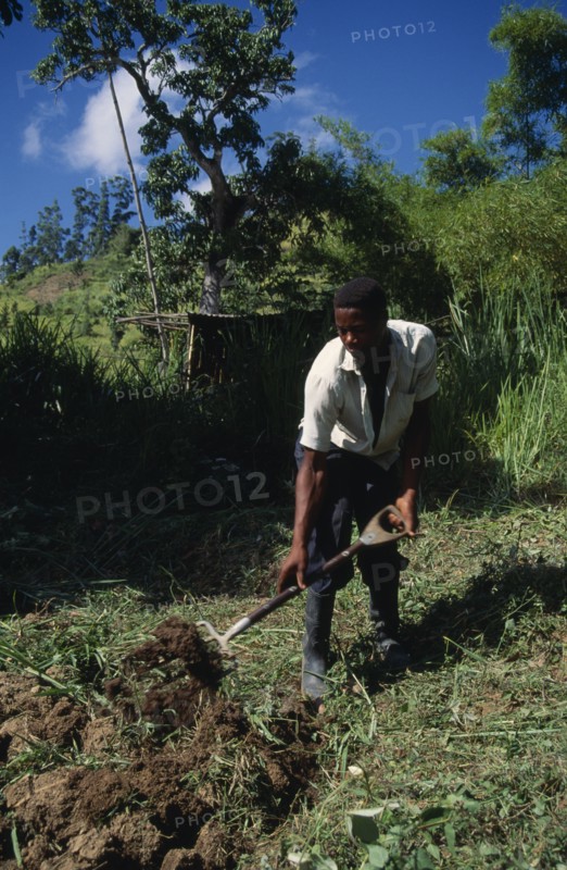 West Indies, Jamaica, Agriculture, Man using fork to dig soil. Photo : Gavin Wickham