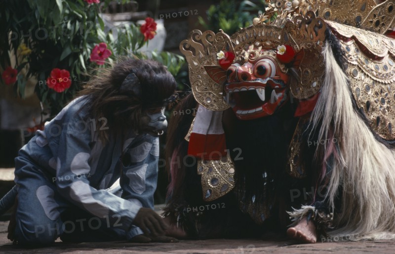 Indonesia, Bali, Barong dance representing the struggle between good and evil. Monkey removes thorn from the foot of Barong the mythical lion like creature who represents goodness.. Photo : Dr Jon Fuller