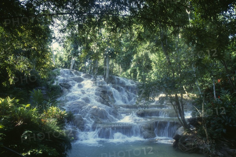 West Indies, Jamaica, Ocho Rios, Dunns River Falls. Waterfall tumbling over rocks surrounded by trees and vegetation. Photo : David Cumming