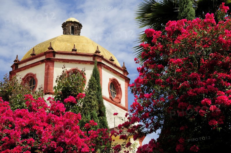 Mexico, Bajio, San Miguel de Allende, Dome of the Parroquia church with bright pink bougainvillea growing in foreground. Photo : Nick Bonetti
