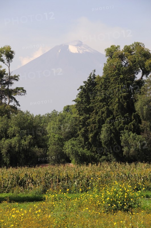 Mexico, Puebla, Popocatepetl, View of Popocatepetl volcanic cone with trees flowers and crops growing in foreground. Photo : Nick Bonetti