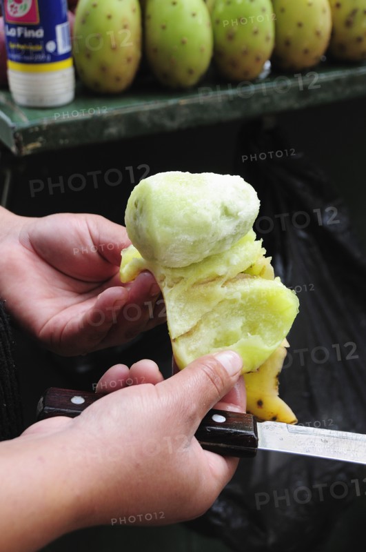 Mexico, Bajio, Zacatecas, Preparing tunas or cactus fruit cropped shot of hands holding peeled fruit and knife. Photo : Nick Bonetti