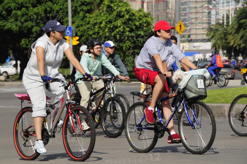 Mexico, Federal District, Mexico City, Cyclists on Reforma one carrying small dog in basket on bicycle handlebars. Photo : Nick Bonetti