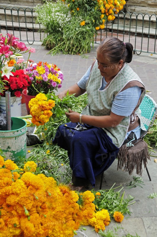 Mexico, Bajio, Guanajuato, Woman preparing marigold bunches on street stall in the Plaza del Baratillo. Photo : Nick Bonetti