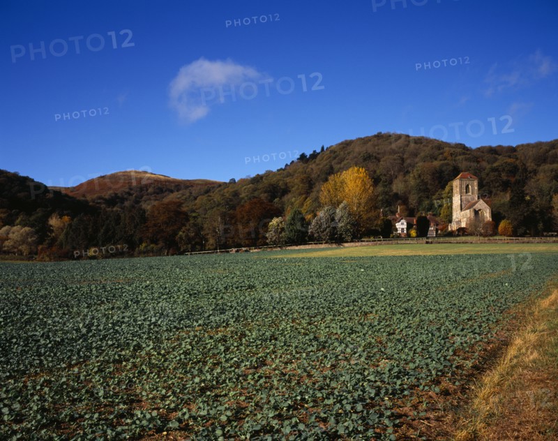 England, Hereford and Worcester, Malvern Hills, View across field with brassica crop towards Little Malvern Priory at the Southern end of the Malvern Hills with Hereford Beacon centre left. Photo : Bryan Pickering
