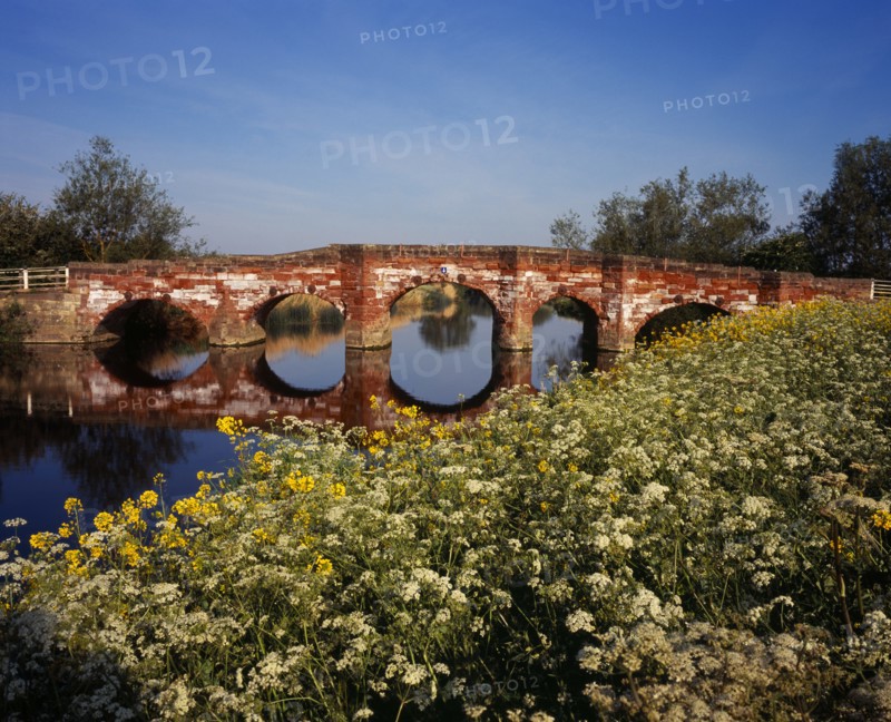 England, Worcestershire, Bridges, Old sandstone road bridge across the River Avon near village of Eckington with mass of Cow parsley and other wild flowers on river bank in the foreground. Photo : Bryan Pickering