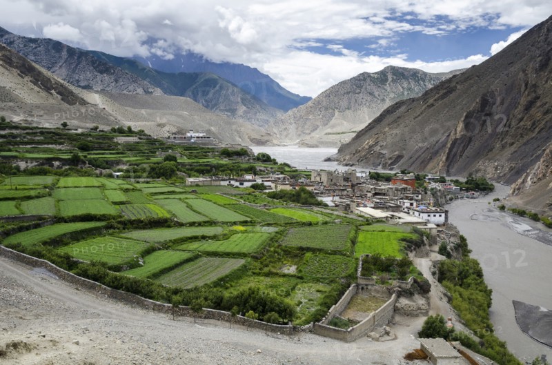 Nepal, Upper Mustang, Farming, Farmland field pattern near Kagbeni village. Photo : Sergey Orlov