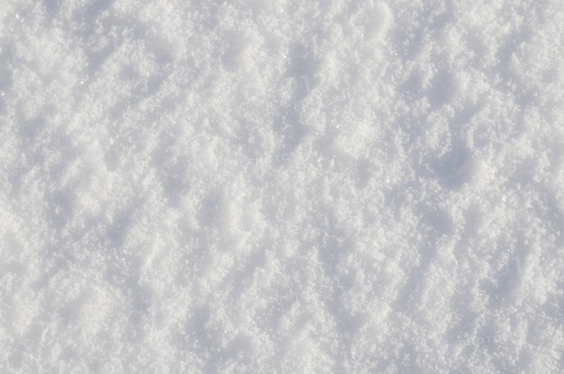 Climate, Weather, Winter, Details of fresh snow. Photo : Bob Battersby