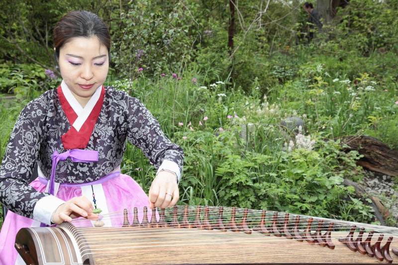 Music, Instrument, Koto, Japanese woman in traditional clothing playing Koto Harp. Photo : Sean Aidan