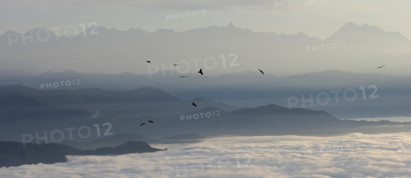 Nepal, Nagarkot, View across clouded Kathmandu valley towards Himalayan mountains birds of prey soaring on air currents. . 
Photo Nic I Anson / Eye Ubiquitous