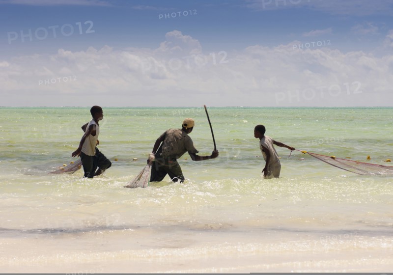 Tanzania, Zanzibar, Paje, Fisherman in the shallow waters off the beach pulling in their net. 
Photo Nic I Anson / Eye Ubiquitous