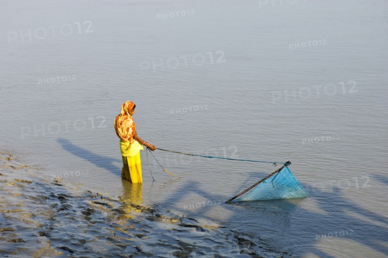 Bangladesh, Khulna Division, Shyamnagar, Woman trawling for shrimp fry with scoop net in the Sundarbans mangrove forest, UNESCO World Heritage Site. 
Photo Nic I'Anson