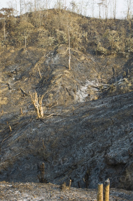 Bangladesh, Chittagong Division, Bandarban, Hillsides burned in the traditional slash and burn style of juma agriculture. 
Photo Nic I'Anson